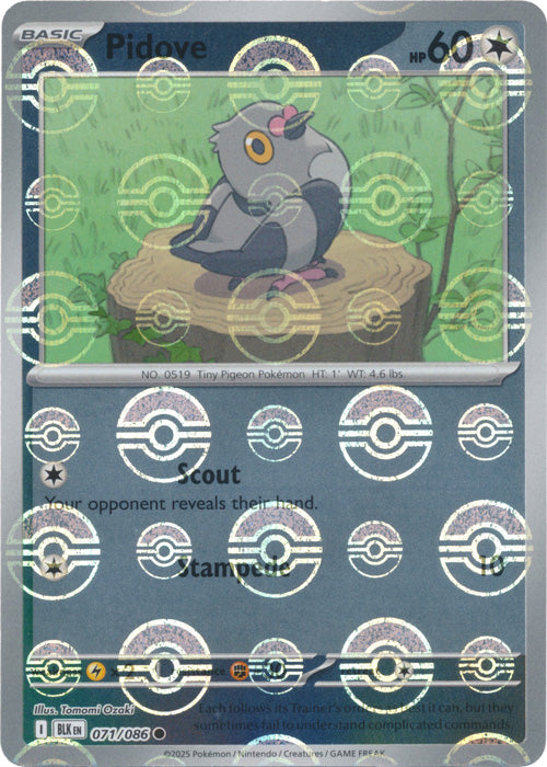 Pidove : BLACK BOLT (Pokeball Reverse holo) - 071/086