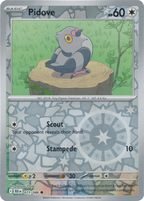 Pidove : BLACK BOLT (Reverse holo) - 071/086