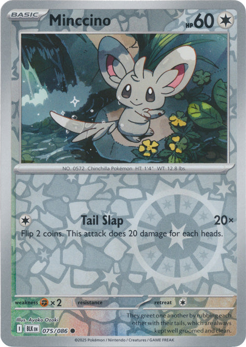 Minccino : BLACK BOLT (Reverse holo) - 075/086