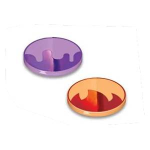Pokemon : Scarlet & Violet Condition Markers
