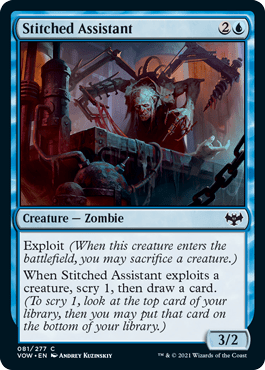 Stitched Assistant : INNISTRAD CRIMSON VOW - 081/277