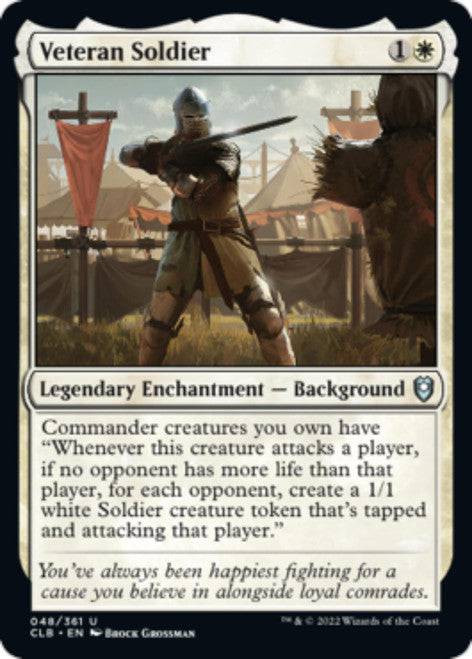 Veteran Soldier : DUNGEONS & DRAGONS: BATTLE FOR BALDUR'S GATE - 048/361