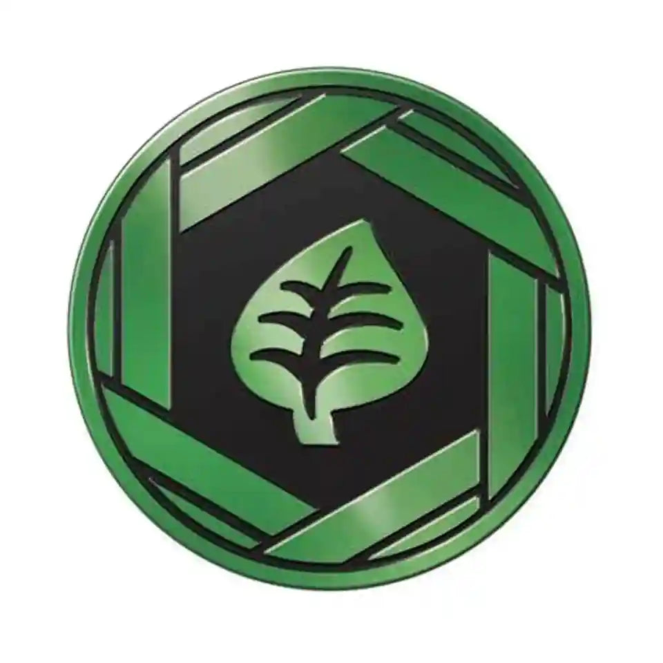 POKEMON Coins - Official TCG Coins - Lockett Labs UK