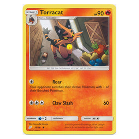 Torracat : TEAM UP - 21/181