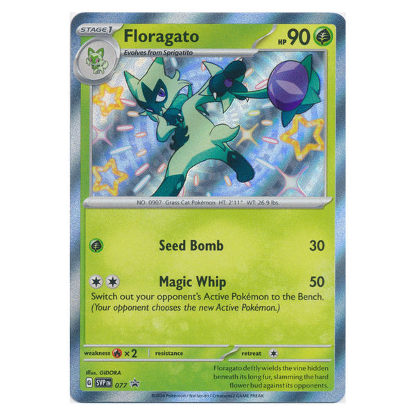 Floragato : PROMO - SVP077
