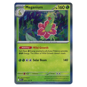 Meganium : MEGA EVOLUTION BASE (Holo) - 010/132
