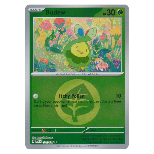 Budew : ASCENDED HEROES (Energy Reverse holo) - 016/217