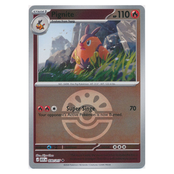 Pignite : ASCENDED HEROES (Ball Reverse holo) - 030/217