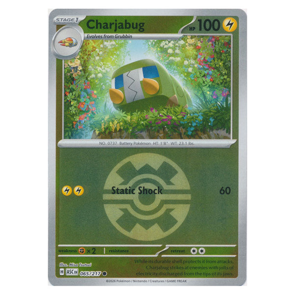 Charjabug : ASCENDED HEROES (Ball Reverse holo) - 065/217