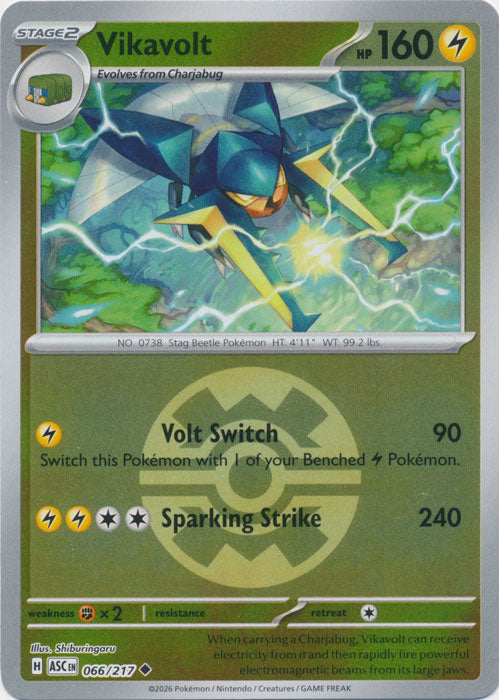 Vikavolt : ASCENDED HEROES (Ball Reverse holo) - 066/217