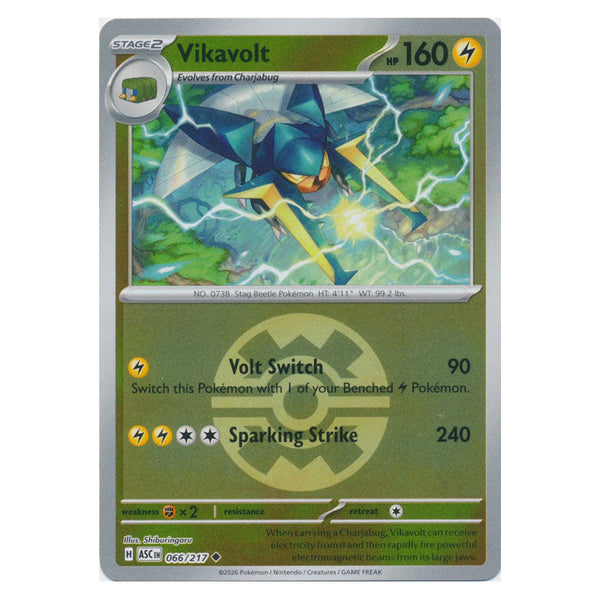 Vikavolt : ASCENDED HEROES (Ball Reverse holo) - 066/217