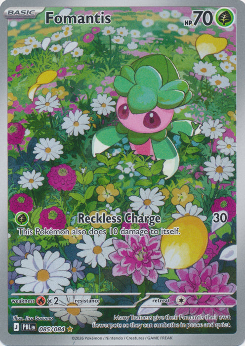 Fomantis : PITCH BLACK - 085/084