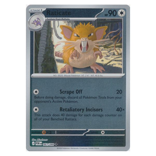 Raticate : PERFECT ORDER (Reverse holo) - 061/088