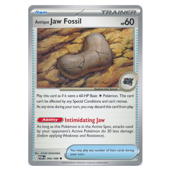 Antique Jaw Fossil : PERFECT ORDER - 068/088