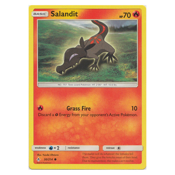 Salandit : UNBROKEN BONDS - 30/214