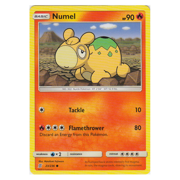 Numel : UNIFIED MINDS - 23/236