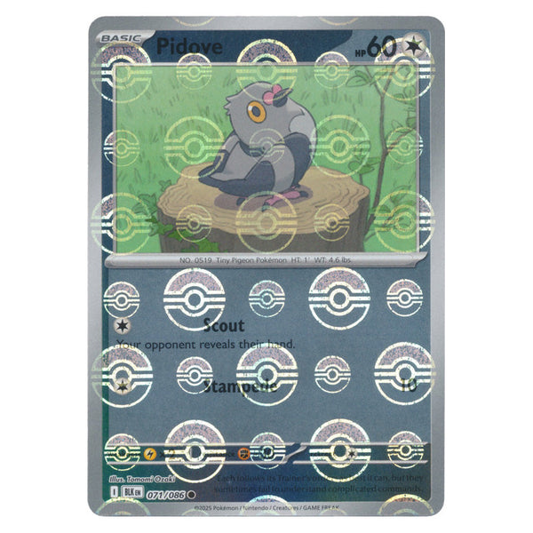 Pidove : BLACK BOLT (Pokeball Reverse holo) - 071/086