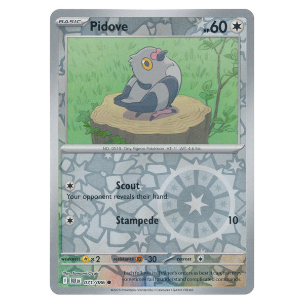 Pidove : BLACK BOLT (Reverse holo) - 071/086