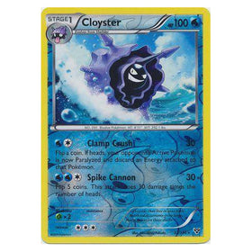 Cloyster : XY BASE (Reverse holo) - 32/146