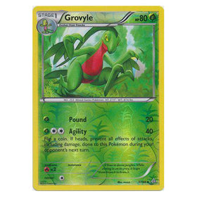 Grovyle : PRIMAL CLASH (Reverse holo) - 7/160