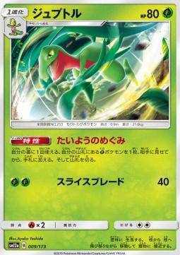 Grovyle : TAG TEAM GX ALL STARS - 009/173 - Lockett Labs UK