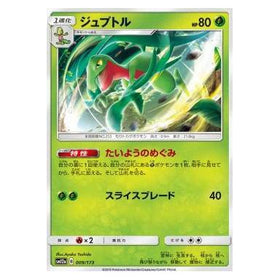 Grovyle : TAG TEAM GX ALL STARS - 009/173
