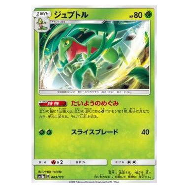 Grovyle : TAG TEAM GX ALL STARS - 009/173