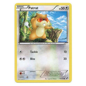 Patrat : BLACK & WHITE BASE - 77/114