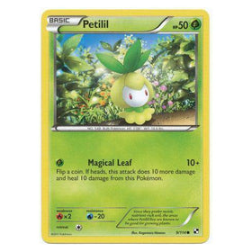 Petilil : BLACK & WHITE BASE - 9/114