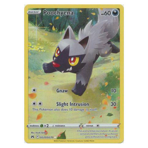 Poochyena : CROWN ZENITH - GG33/GG70