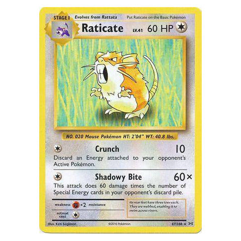 Raticate : EVOLUTIONS - 67/108