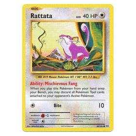 Rattata : EVOLUTIONS - 66/108