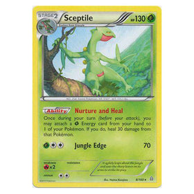 Sceptile : PRIMAL CLASH - 8/160