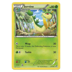 Servine : BLACK & WHITE BASE - 3/114
