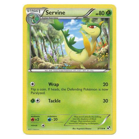 Servine : BLACK & WHITE BASE - 3/114
