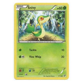 Snivy : BLACK & WHITE BASE - 1/114