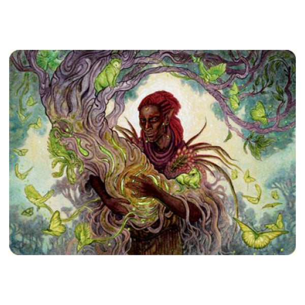 Circle of Dreams Druid : DUNGEONS & DRAGONS: ADVENTURES IN THE FORGOTTEN REALMS (Art card) - 66/81