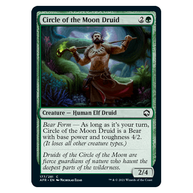 Circle of the Moon Druid : DUNGEONS & DRAGONS: ADVENTURES IN THE FORGOTTEN REALMS - 177/281