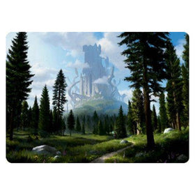 Forest : DUNGEONS & DRAGONS: ADVENTURES IN THE FORGOTTEN REALMS (Art card) - 61/81