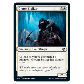 Gloom Stalker : DUNGEONS & DRAGONS: ADVENTURES IN THE FORGOTTEN REALMS - 016/281