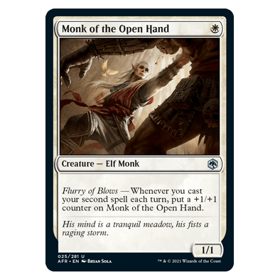 Monk of the Open Hand : DUNGEONS & DRAGONS: ADVENTURES IN THE FORGOTTEN REALMS - 025/281