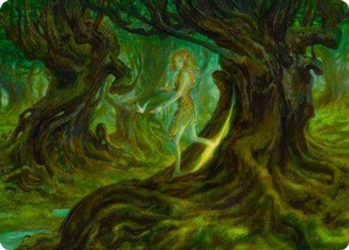 Neverwinter Dryad : DUNGEONS & DRAGONS: ADVENTURES IN THE FORGOTTEN REALMS (Art card) - 69/81 - Lockett Labs UK