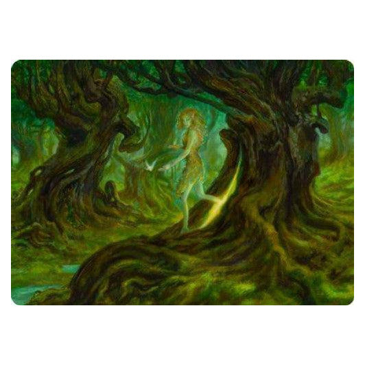 Neverwinter Dryad : DUNGEONS & DRAGONS: ADVENTURES IN THE FORGOTTEN REALMS (Art card) - 69/81