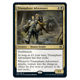 Triumphant Adventurer : DUNGEONS & DRAGONS: ADVENTURES IN THE FORGOTTEN REALMS - 237/281