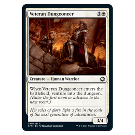 Veteran Dungeoneer : DUNGEONS & DRAGONS: ADVENTURES IN THE FORGOTTEN REALMS - 040/281