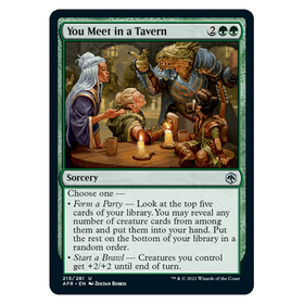 You Meet in a Tavern : DUNGEONS & DRAGONS: ADVENTURES IN THE FORGOTTEN REALMS - 215/281